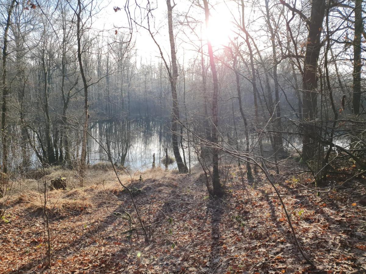 B&B De Nieuwenhof 'De Voorkamer' Melderslo ภายนอก รูปภาพ