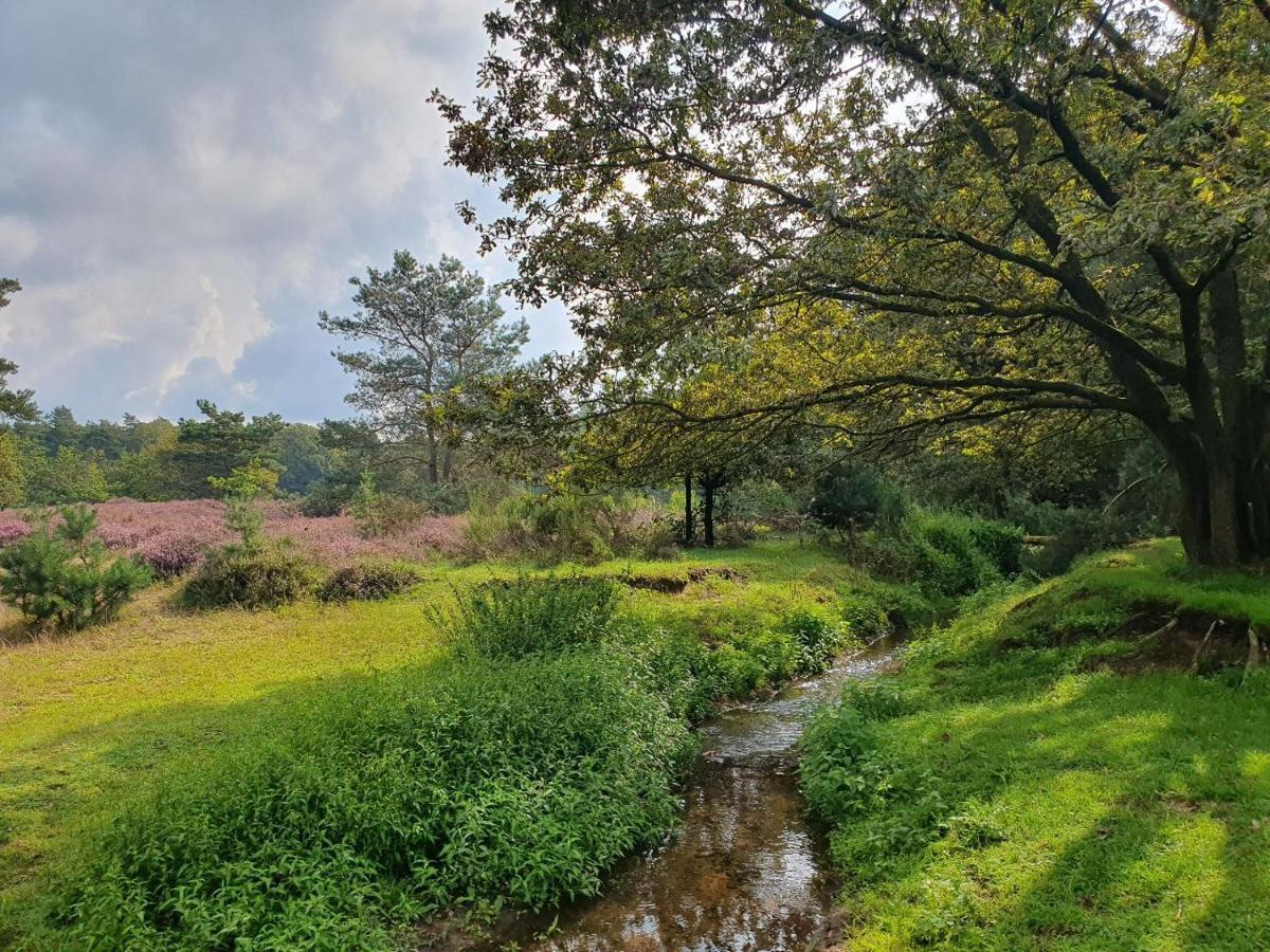 B&B De Nieuwenhof 'De Voorkamer' Melderslo ภายนอก รูปภาพ